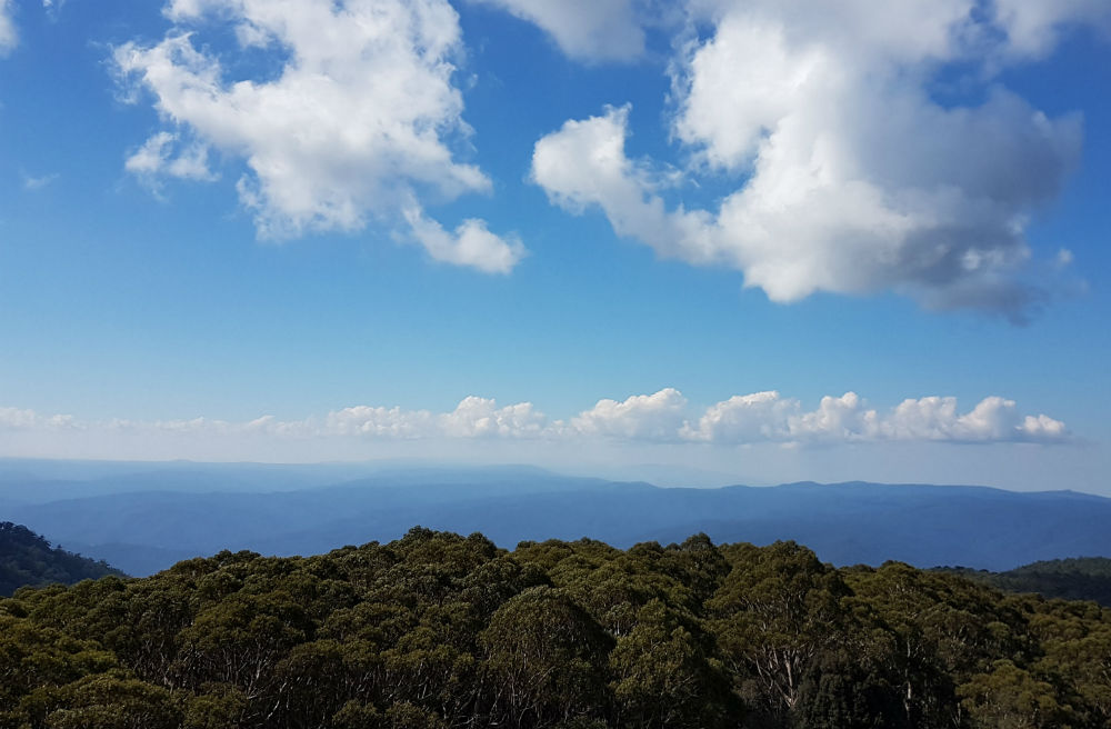 View looking over a sea of forest. The skies above are blue with some cotton wool ball clouds floating overhead.