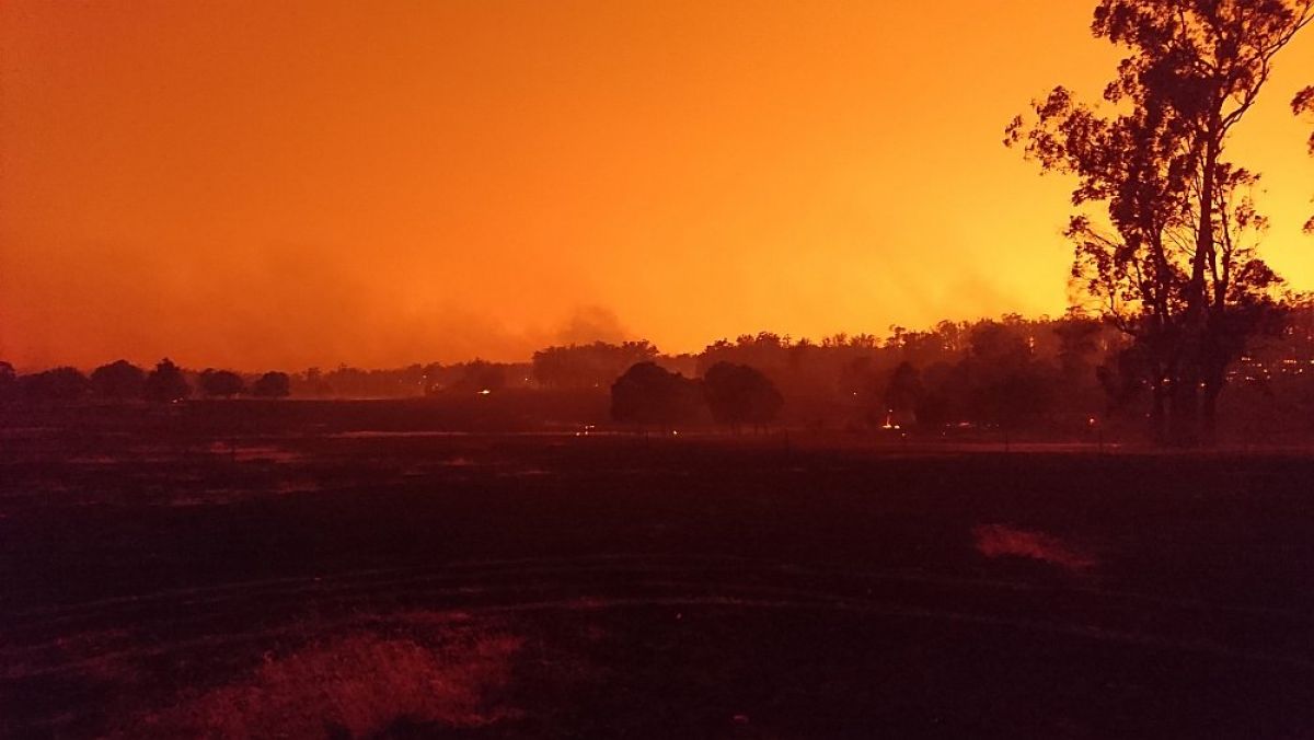 Buchan Nowa Nowa horizon view of fire sky is orange and red