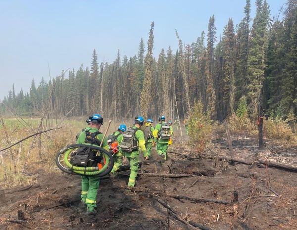 A group of FFMVic firefighters walking into the Canadian bushland