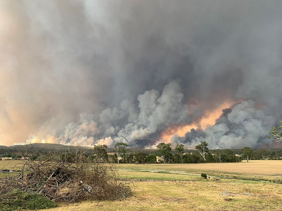 Fire looking from Jo Andrews home at Sarsfield