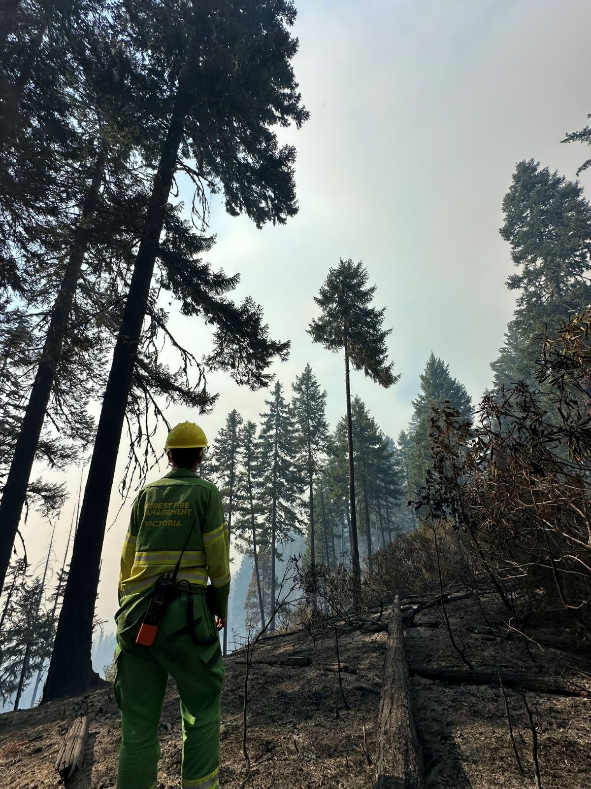 Erika at one of the sites impacted by the wildfires in the US