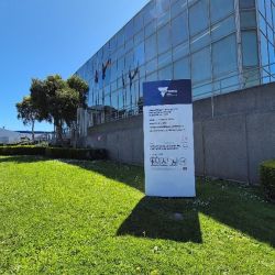 Green space for assistance dogs