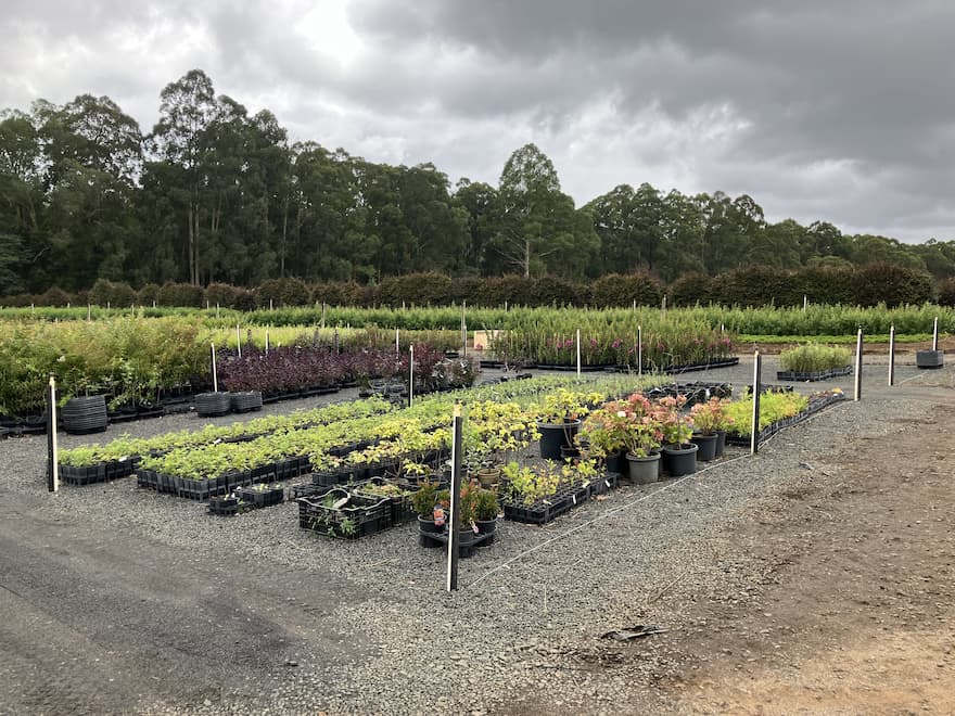 Nationwide Trees nursery