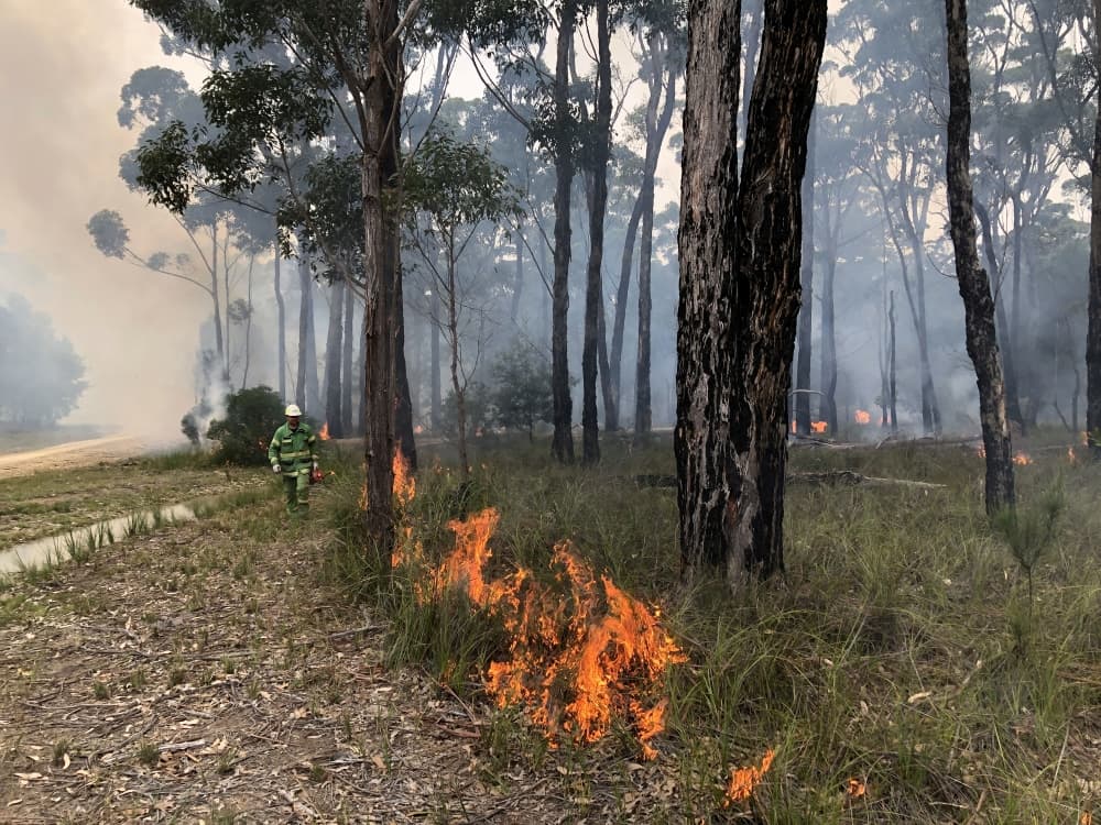 Fire fighter monitoring back burning