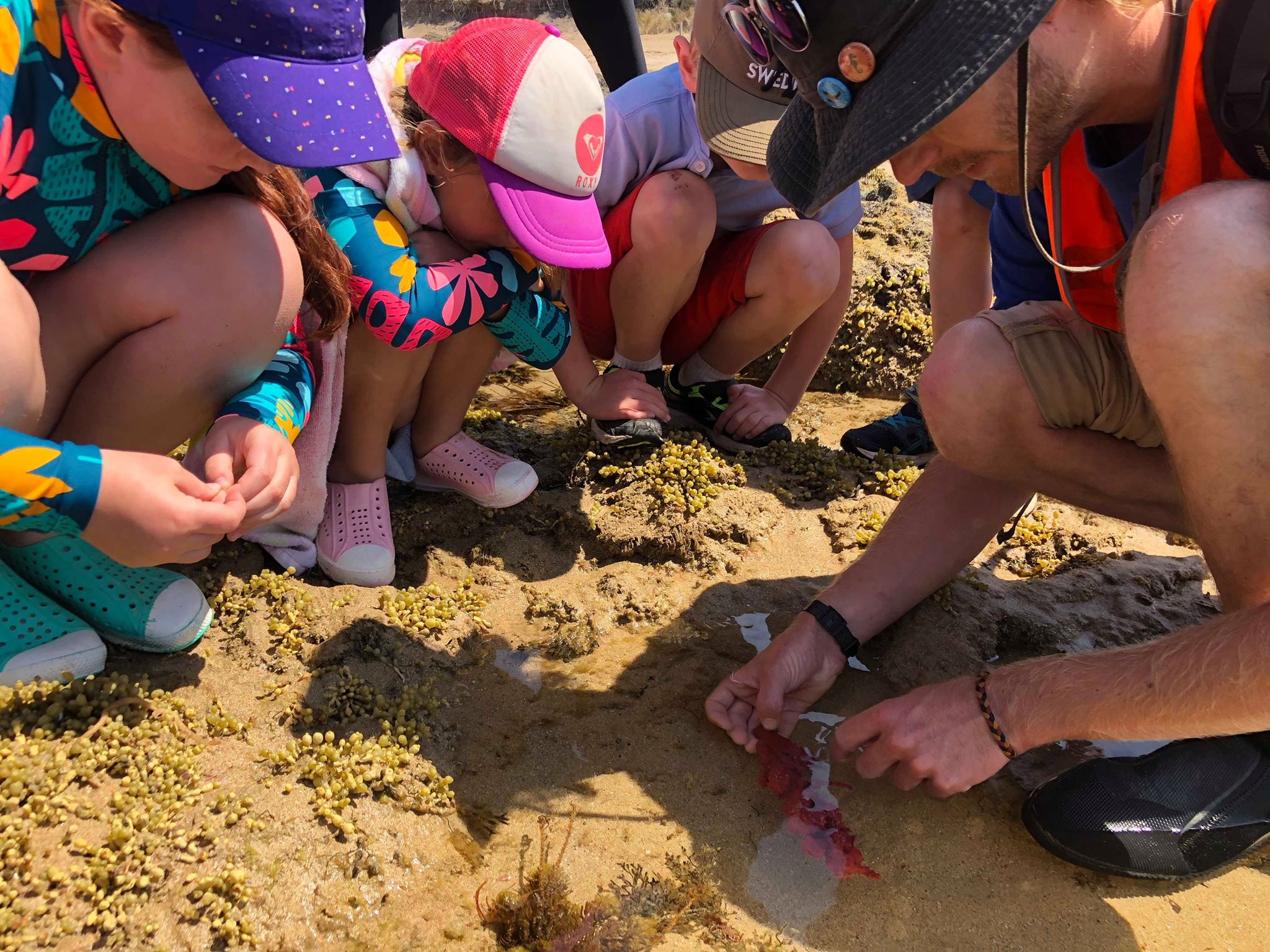 Children and adult exploring a rockpool