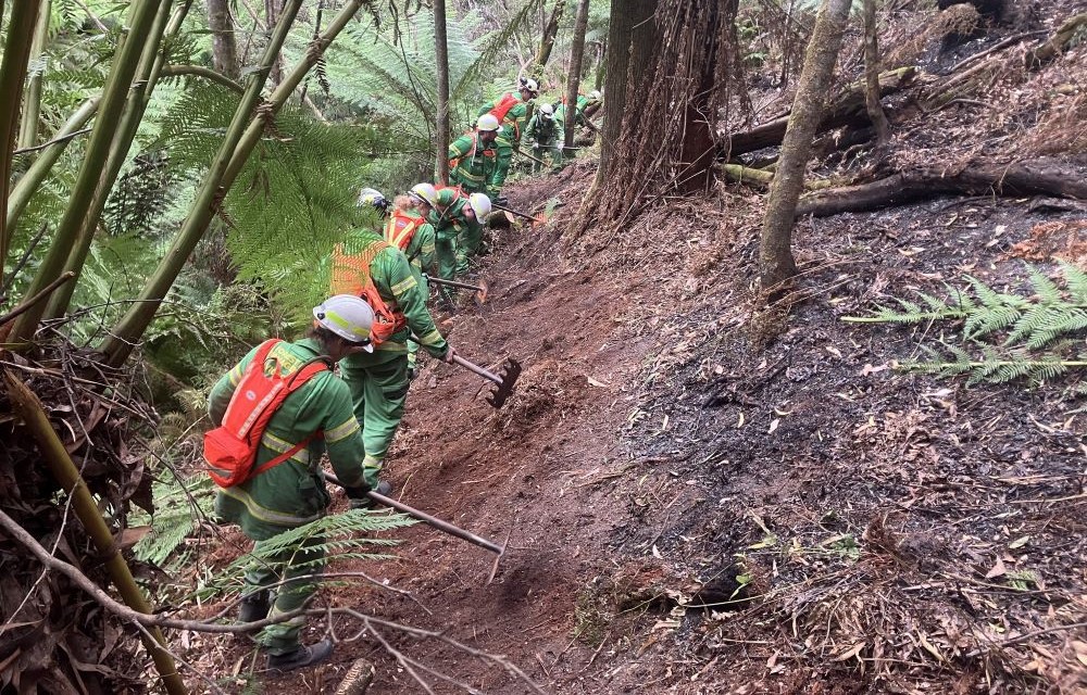 A group of firefighters are using rakehoes to build a mineral fire break on a steep embankment.
