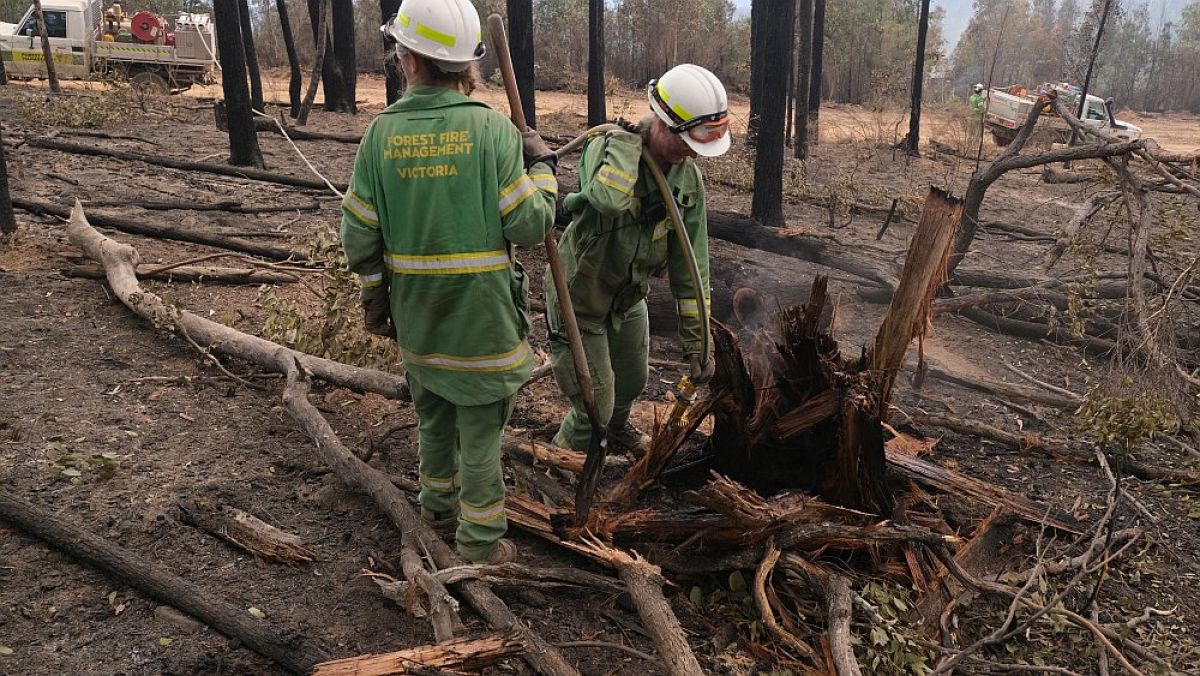 2 Forest Fire Management Victoria staff cleaning up tree debris