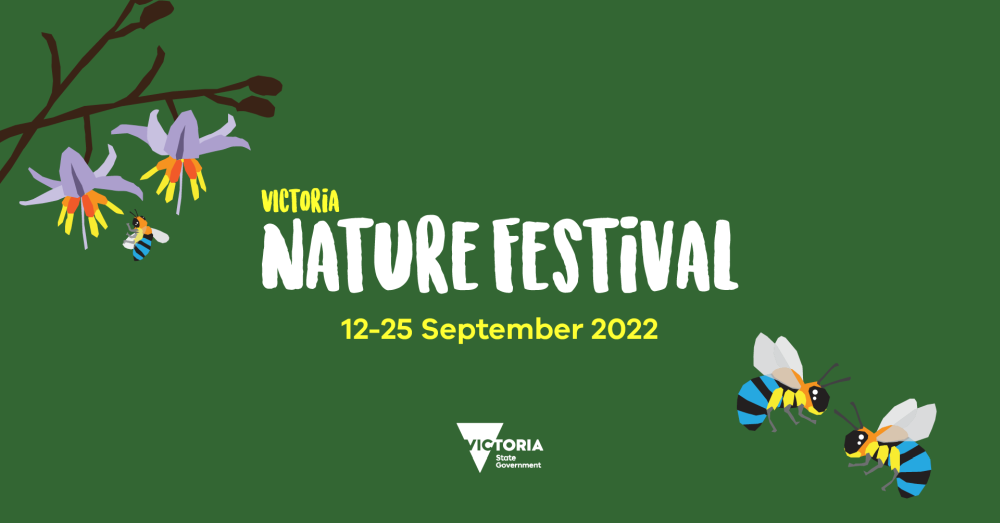Victoria Nature Festival 12-25 September 2022, Flowers hanging from the top left corner. Two bees in bottom right corner