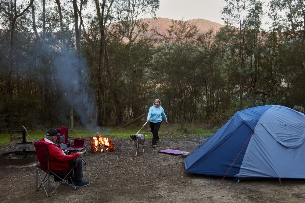 Camper walking her dog across camping site, Campfire, blue tent across from fire, another camper seated in chair observing