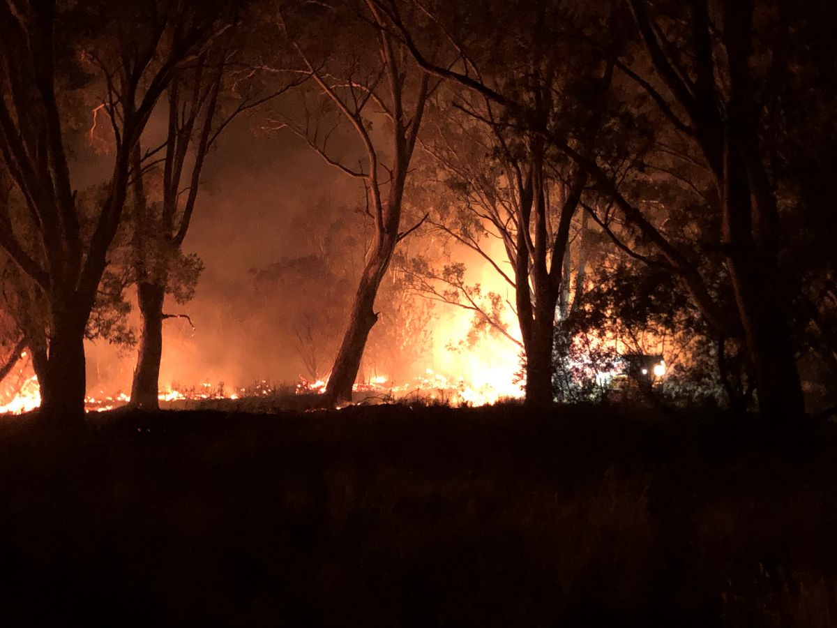 Walwa fire with trees in foreground