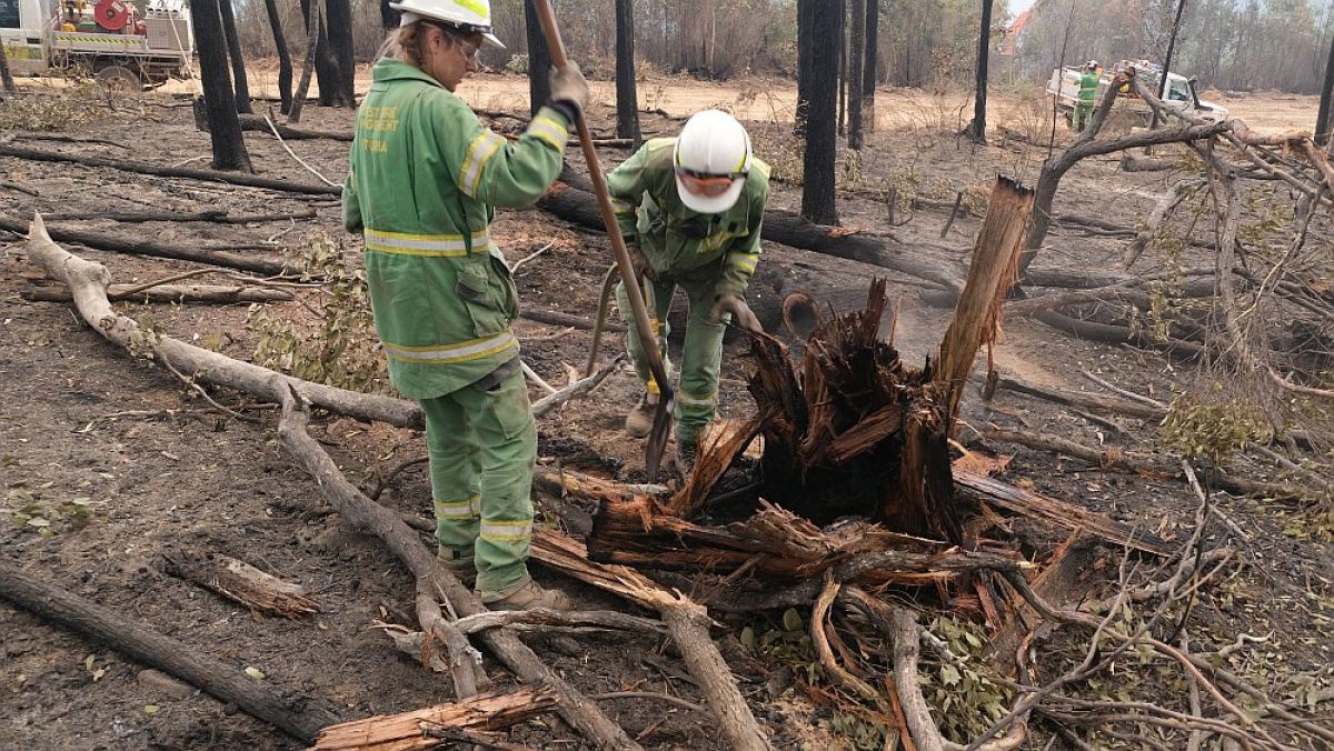 2 Forest Fire Management Victoria staff breaking up burnt fire branches