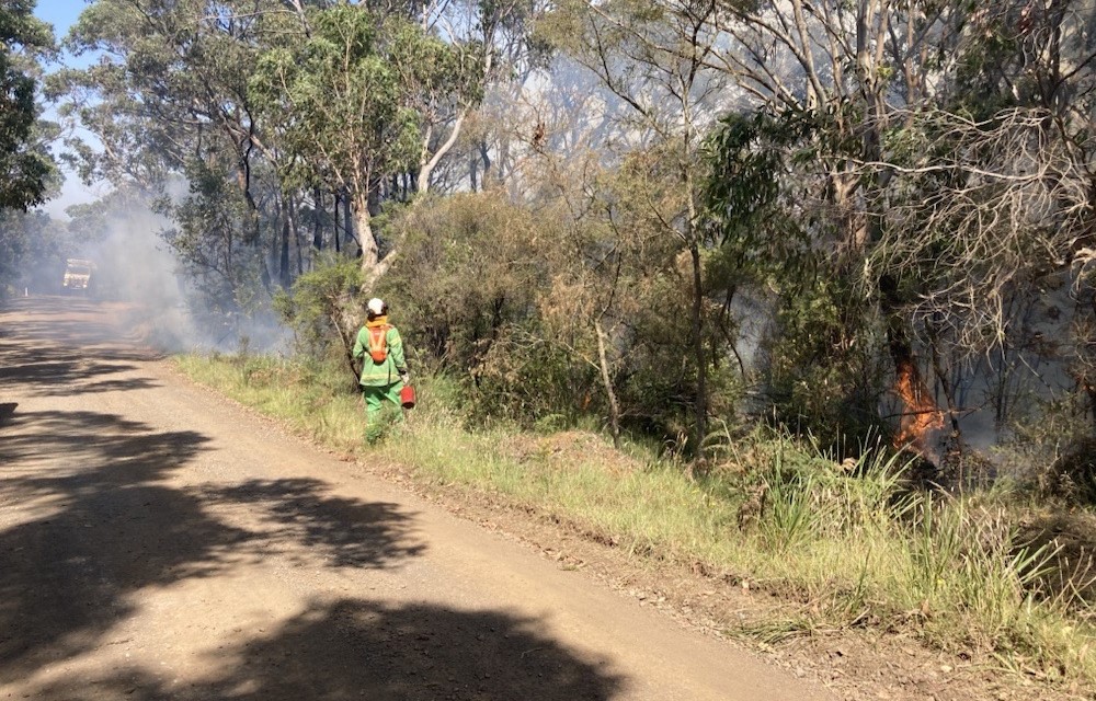 A firefighter holding a drip torch walks along the edge of a gravel road. Sections of the bushland beside the road have been ignited as part of a planned burn
