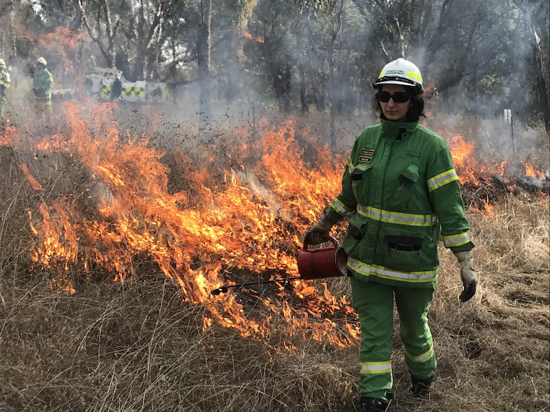 Johanna Tachas working on a planned burn