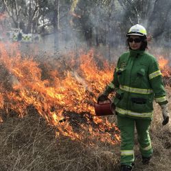 Johanna Tachas working on a planned burn