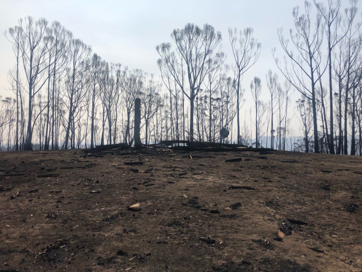 Burnt area around Stringers Knob fire spotting tower