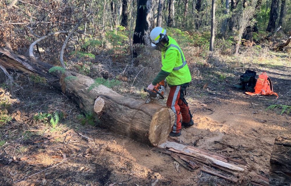 A firefighter wearing protective clothing uses a chainsaw to cut up a tree that's fallen across a dirt track