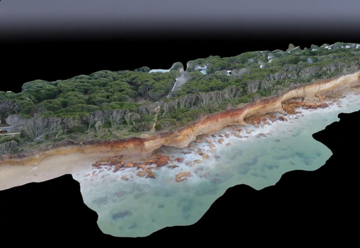 3D image of eucalyptus forest, coast with cliffs and sea