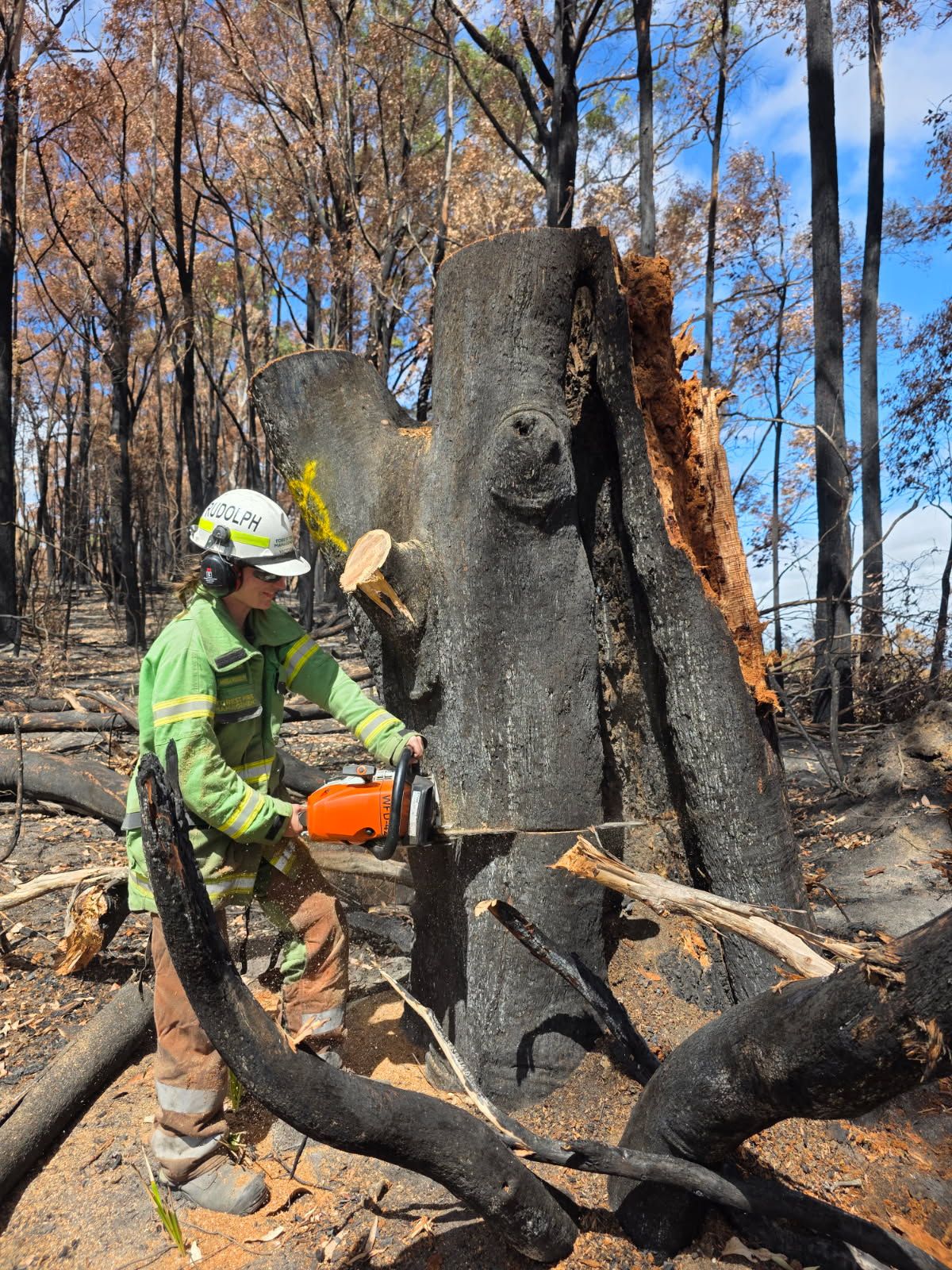 Angela using a chainsaw
