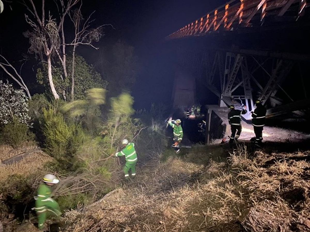 Fire fighters clearing brush underneath iconic McKillops Bridge in the Bendoc and Bombala area of East Gippsland