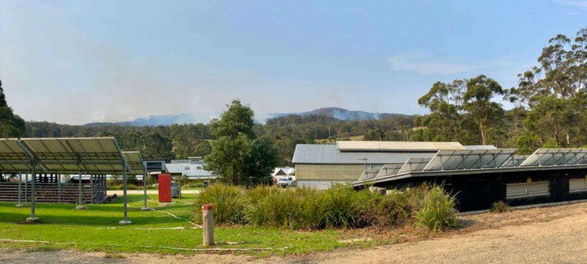 Backburning in Mallacoota