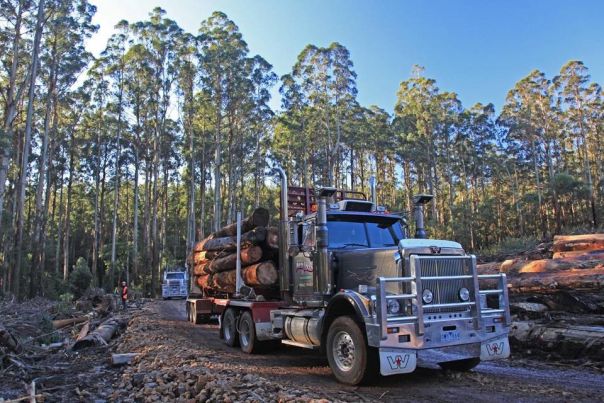 Truck with logs