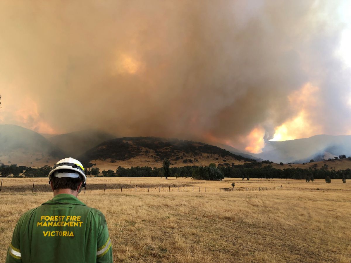 Forest Fire Management male with Corryong fire ahead