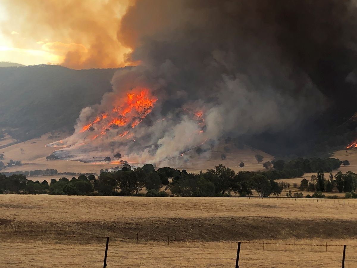 Corryong fire on hill