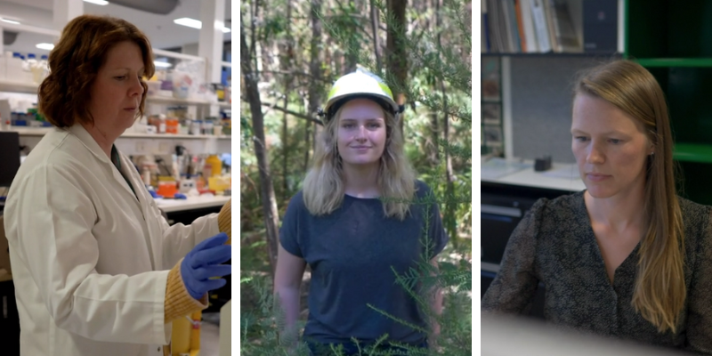 Three women image montage. One is in a white lab coat. One is wearing a hardhat in the bush. One is sitting at an office desk.